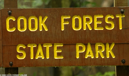 cook forest