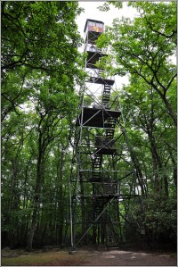 firetower9